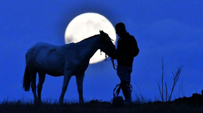 luna plina prosperitate taur leu capricorn