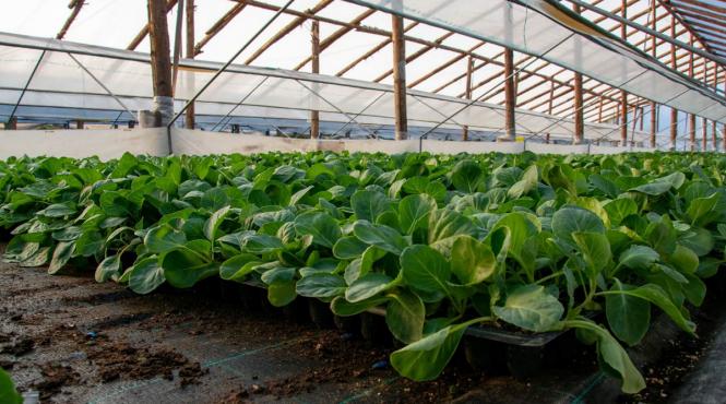 vesi proaste fermieri ce impozit vor plati d2026