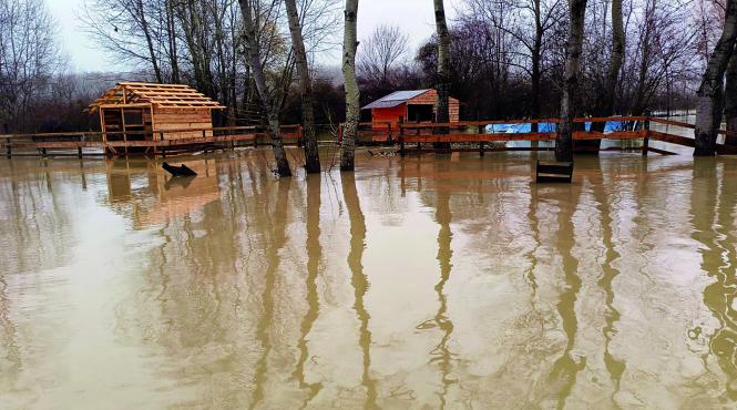 dezastru viitura mogosani ferma piscicola comuna inundata apele romane