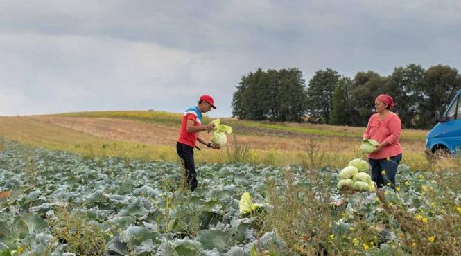 ministerul agriculturii ordonanta comasare institutii reducere cheltuieli bugetare
