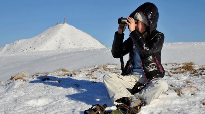 zodii horoscop decembrie previziuni fara resurse