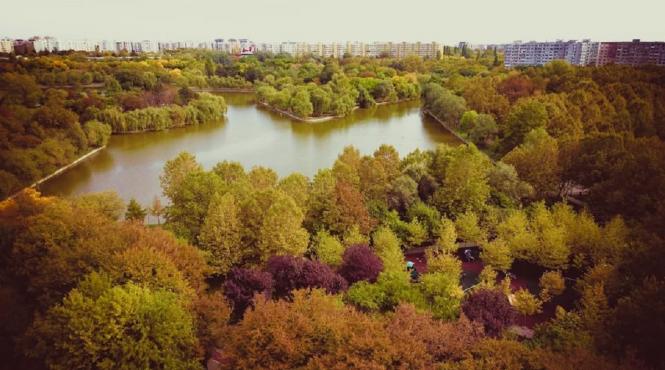 noi defrisari in sectorul 3 locuitorii din titan oprirea macelului spatiilor verzi