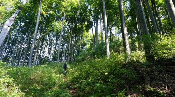 tarile din ue cele mai conectate cu natura