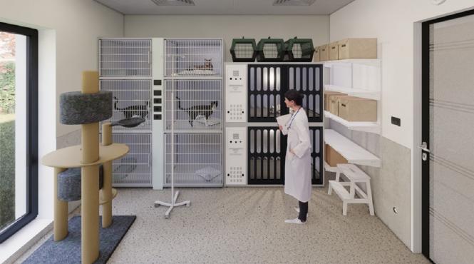 eforturi deschiderea primului spital social veterinar romania