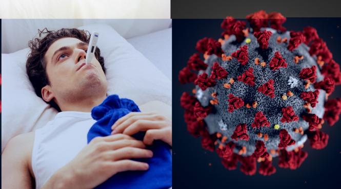 crestere globala gripa h3n2 super gripa europa