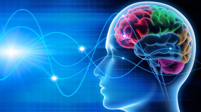 trucul lego creier uman inteligenta artificiala