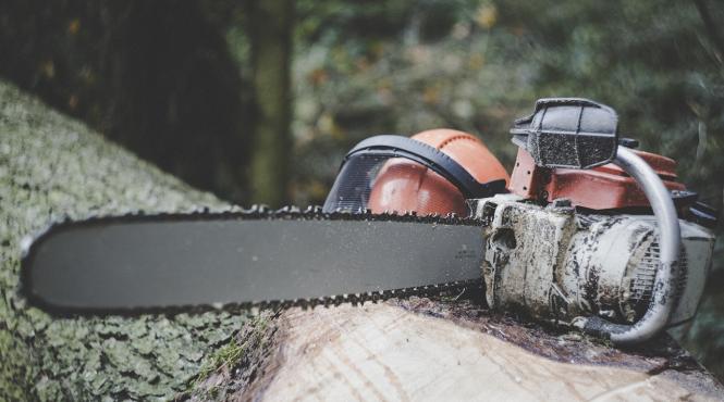 creste pret lemne padure scumpiri uriase 65