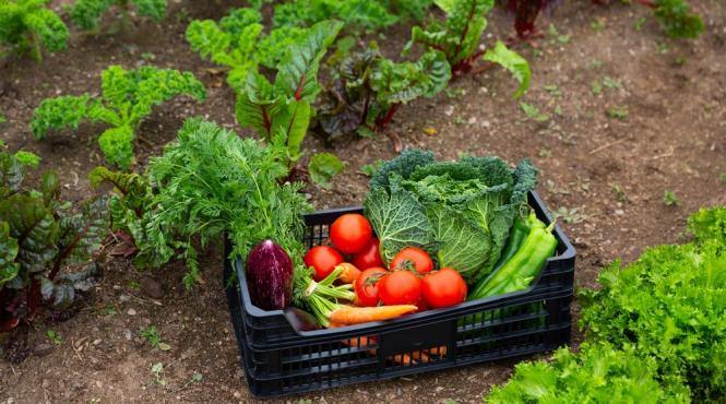 guvernul bolojan inventeaza noua taxa impozit creste 140 din 2026