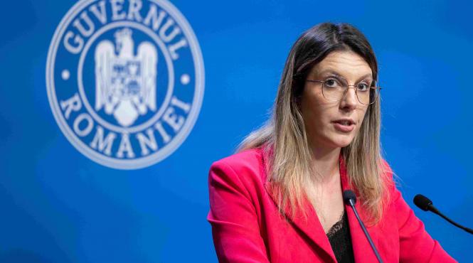 statut senat ilie bolojan motiuniune simpla diana buzoianu