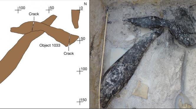 descoperire istorica cea mai veche structura lemn dateaza dinainte homo sapiens
