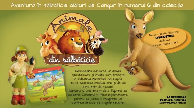cangurul o noua descoperire in colectia animale din salbaticie