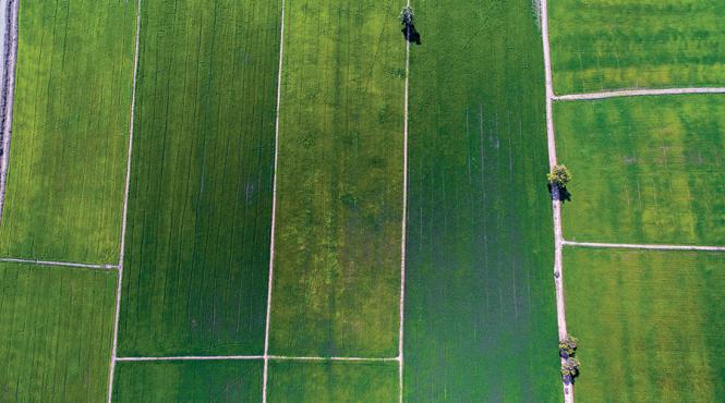 cat costa terenurile arabile romania preturi medii hectar regiunile tarii