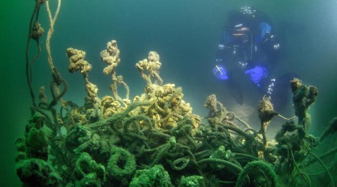 blacknets curata marea neagra 9 tone de unelte de pescuit eliminate