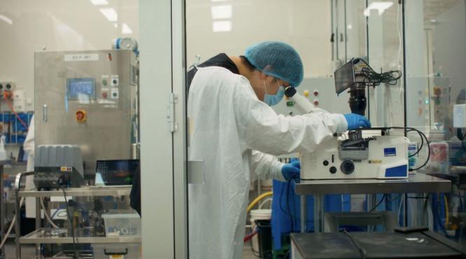 2025 terapii celule stem mezenchimale medicina regenerativa