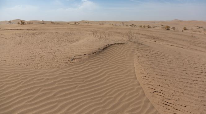 arabia saudita emiratele import nisip australia deserturi imense