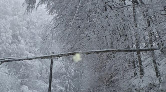 15 000 de oameni din alba nu au nici acum curent din cauza ninsorilor