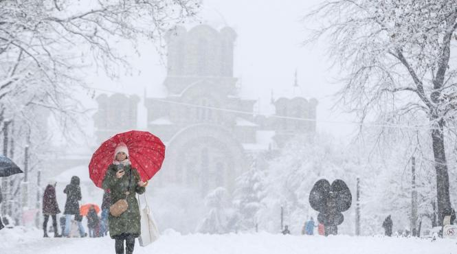 raed arafat cod portocaliu viscol zapada