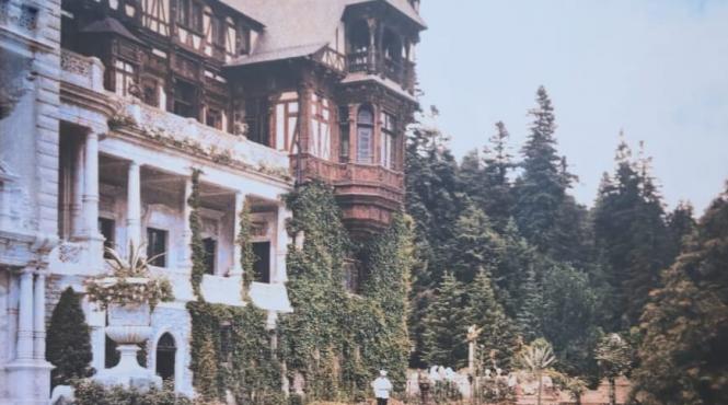 carti studii expozitii castel peles