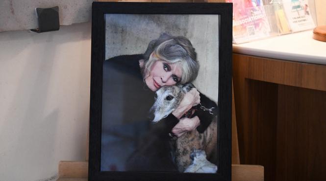 dezvaluirile sotului boala brigitte bardot ultimele luni ale actritei