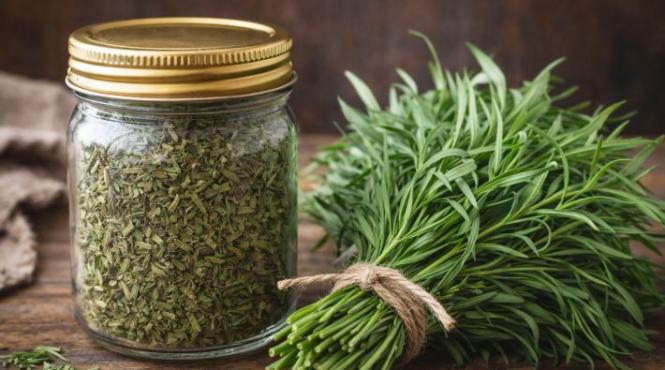 tarhon ingredient secret ardeal cum se foloseste corect in bucatarie