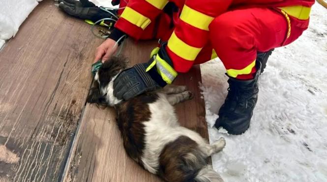 catel salvare pompieri incendiu