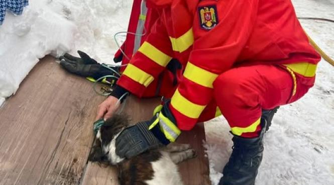 catel salvat incendiu maieru bistrita nasaud pompieri smurd oxigen