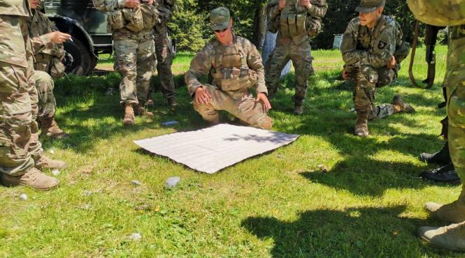 armata romana exercitii militare criza