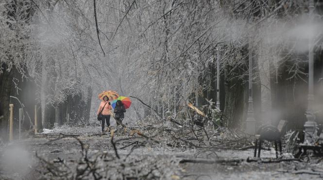 cod galben ger temperaturi pana la 13 grade bucuresti