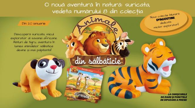 o noua aventura in natura suricata vedeta numarului 8 din colectia animale din salbaticie