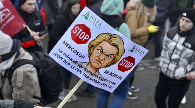 pusl acordul ue mercosur control juridic decizia parlamentului european