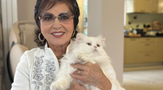 imaginea irinei loghin folosita ilegal internet reclame medicamente