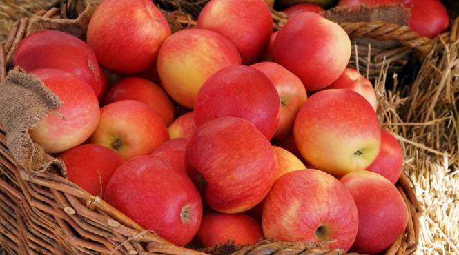 proiect strategic agricultura unda verde depozite regionale legume fructe