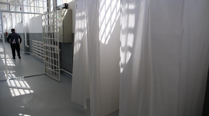 snpp anp acuze penitenciar