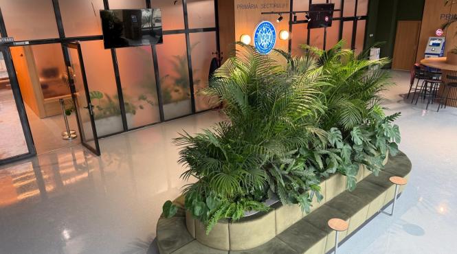 birou cetatean acces servicii primaria sectorului 1