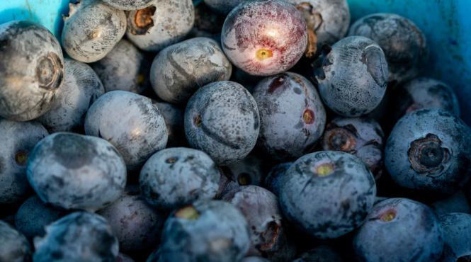 superalimente protectie rinichi sanatate renala