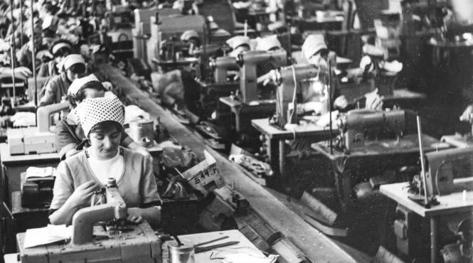 activitati economice bihor expozitie