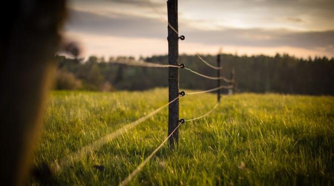 ministerul mediului cumpara garduri electrice ursi preturi exorbitante