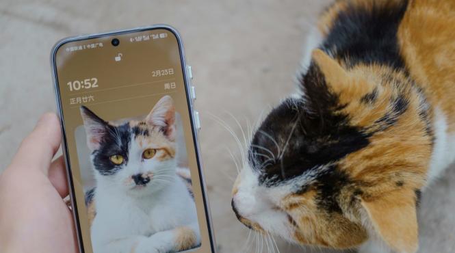 de ce nu ne putem concentra cum functioneaza atentia creierului