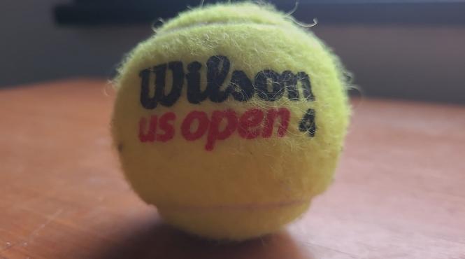 oricine urcare avion minge tenis