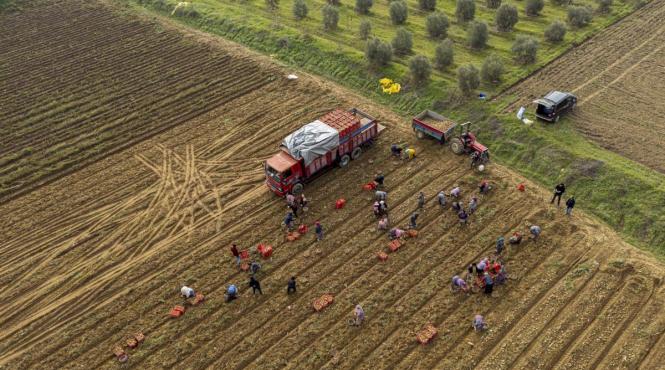 agricultura romaniei 2026 riscuri ue mercosur criza fermierilor