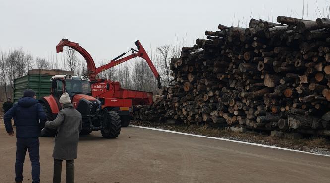 biomasa strategie energetica romania