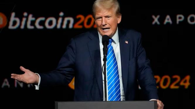 poveste sordida afaceri criptomonede familia trump