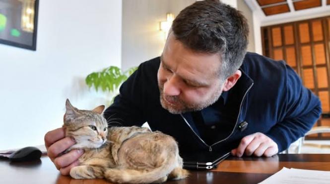 ciprian ciucu primaria capitalei pisica accident