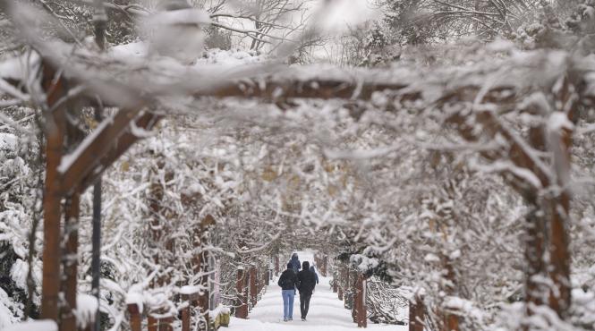 meteo bucuresti ninsori strat zapada peste 50 cm cod portocaliu