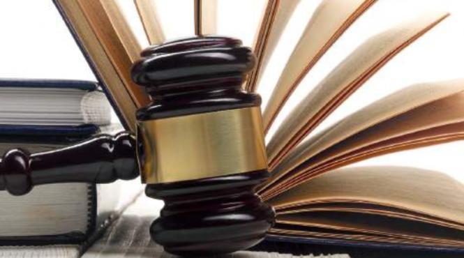 sefi curti de apel nicusor dan pensii parlament