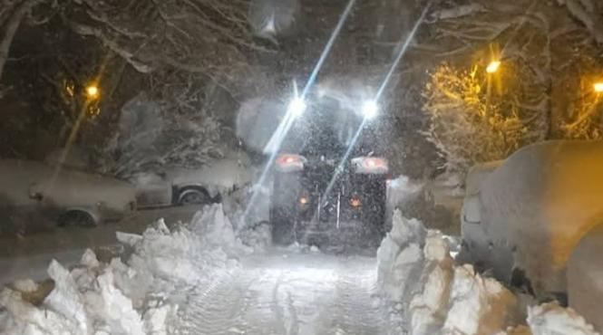 cod galben ninsori viscol bucuresti ialomita braila