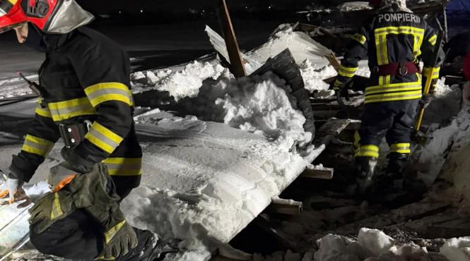 acoperisul unui saivan s a prabusit in prahova din cauza zapezii depuse 30 de animale au murit
