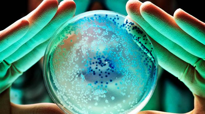 bacterii antibiotice europa