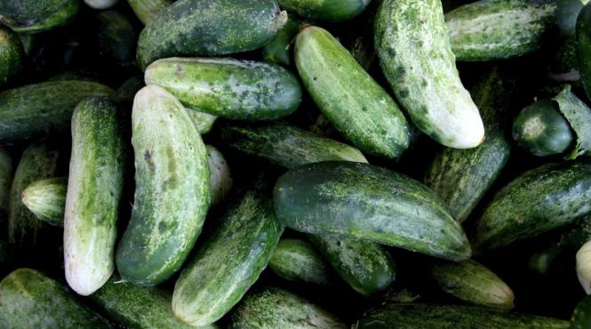 beneficiile castravetelui superaliment hidratare slabire sanatate