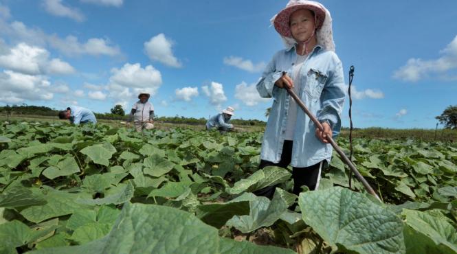 teritoriile peste mari ale europei mostenire coloniala strategie globala